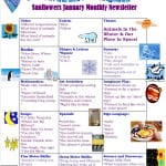 January Sunflowers Monthly Newsletter 2014