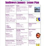 Sunflowers January Lesson Plan 2015